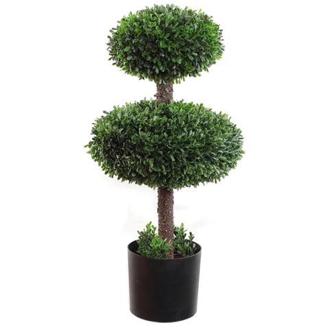 Double Boxwood Ball Topiary Tree In Black Planter Pot Inch Uv