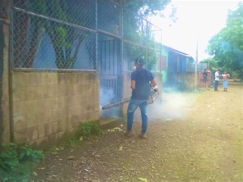 Salud Intensifica Jornadas De Fumigaci N Para Prevenir El Dengue