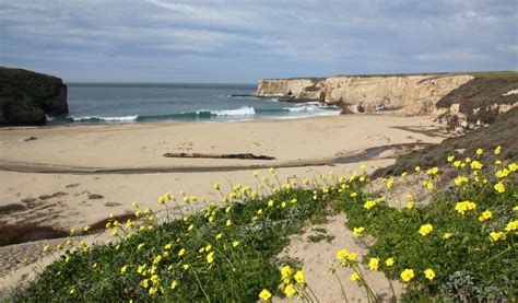 Davenport Beach in Davenport, CA - California Beaches