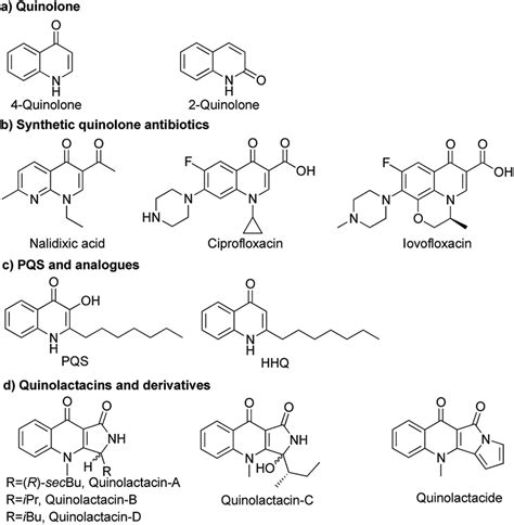 Structures Of Quinolones And Derivative Download Scientific Diagram