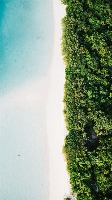 White Beach Blue Water Aerial Birdeye Green Island Sea Tree