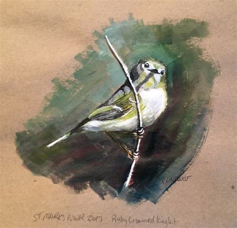 Ruby Crowned Kinglet Roslyn Lindquist Paintings