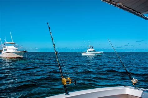 Discover The Thrill Of Fishing In Barbados Sandals