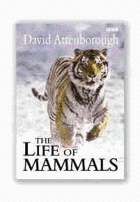 The Life Of Mammals By Attenborough David Fine Hardcover First