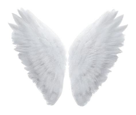 Angel Wings Background Stock Photos Images And Backgrounds For Free