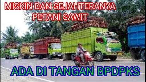 BPDPKS Kelola Program Sawit Bagi Kesejahteraan Petani Dan Rakyat YouTube