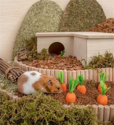 Niteangel Karotte Rübe Kauspielzeug Etsyde Hamster Habitat Cool