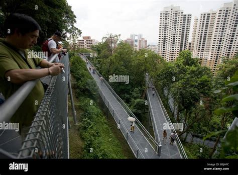 People Walk Along The Walkways Of The Forest Walk In Telok Blangah Hill