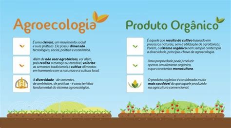 O que é agroecologia Ponto Biologia