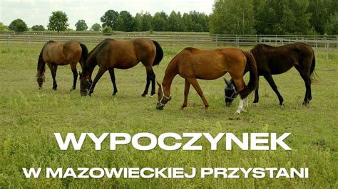 Wypoczynek W Mazowieckiej Przystani Youtube