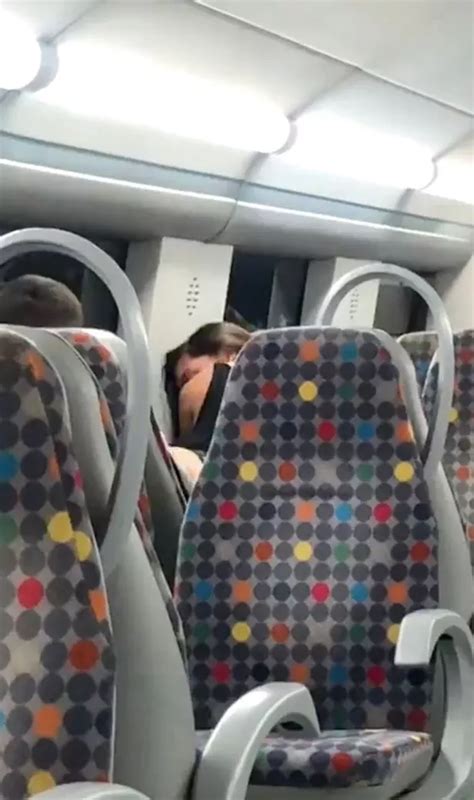 Train Passenger Stunned At Randy Couple Brazenly Having Sex Behind Him