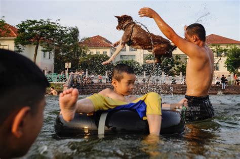 Nắng nóng gay gắt trẻ em xé rào xuống tắm giải nhiệt ở hồ Tây