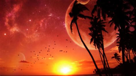 Tropical Sunset Wallpaper Desktop - WallpaperSafari