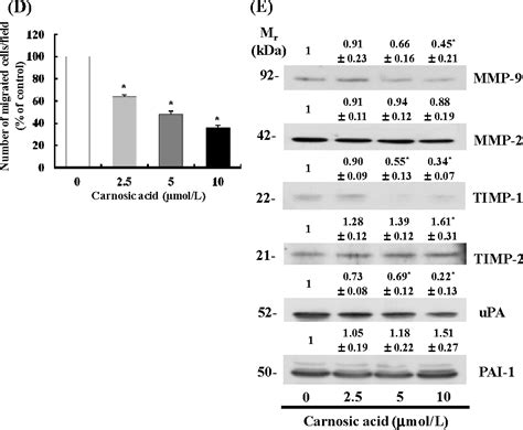 Figure 1 From Carnosic Acid Inhibits The Epithelial Mesenchymal