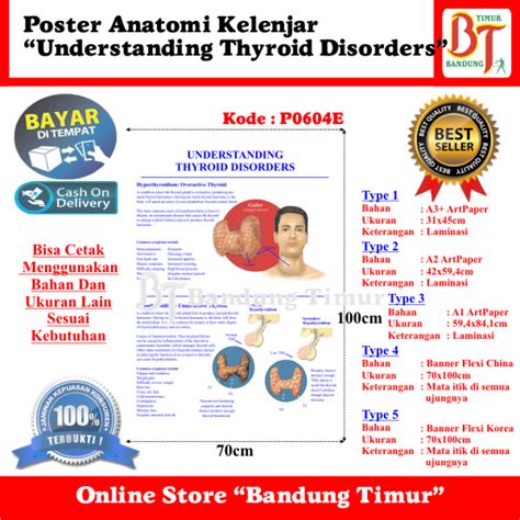 Jual Poster Anatomi Kelenjar Understanding Thyroid Disorders Shopee