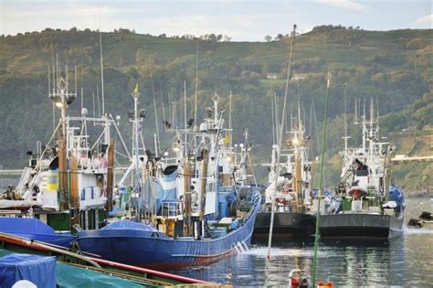 Pesca En El Cantabrico Desde Costa Pesca Información