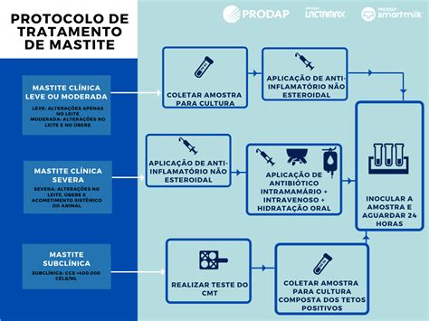 Mastite Bovina Saiba O Que Mastite Clinica E Subcl Nica Como