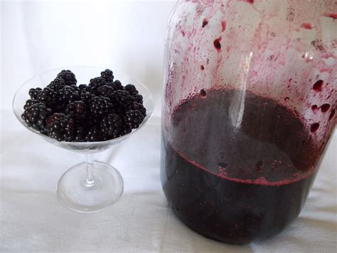 Vino od kupina po bakinom receptu - Samo lepa sećanja