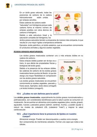 Reconocimiento De Lipidos Y Algunas Propiedades Pdf