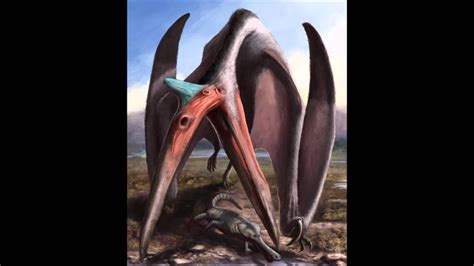 Quetzalcoatlus Youtube