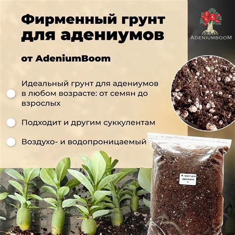 Фирменный грунт для адениумов: купить в интернет-магазине с доставкой ...