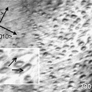 Bright Field Plane View TEM Image Performed In 001 Zone Axis On The