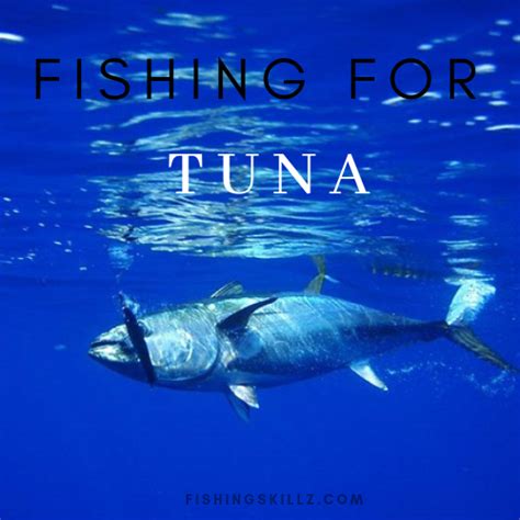 How To Fish For Tuna Tips And Techniques Tuna Fishing Fish