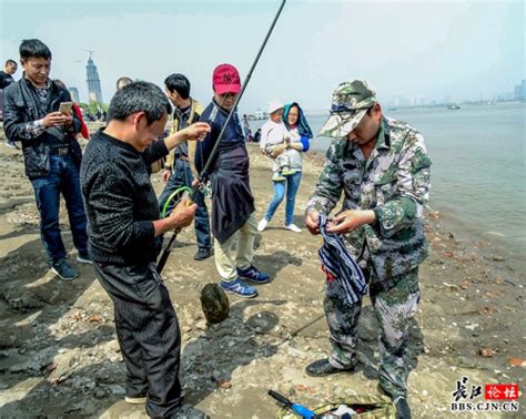 长江禁渔期内 汉口江滩仍有人违规垂钓首页i新闻首页长江网cjncn