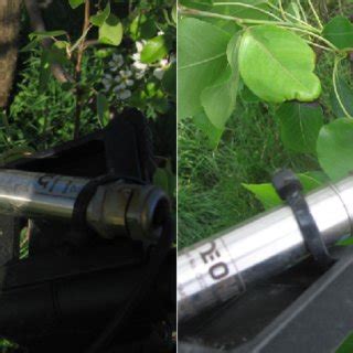 measurement   surface temperature  plant tissues