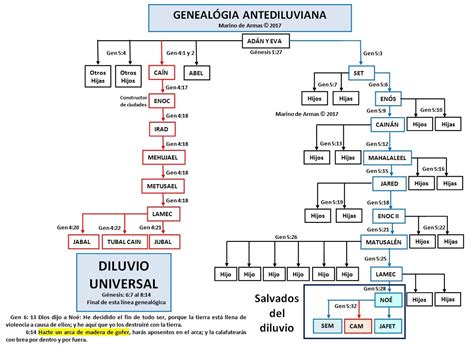 Arriba 101 Foto árbol Genealógico De Jesús Desde Adán Y Eva Alta