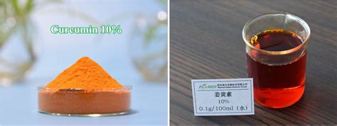 Best Cosmetic Grade Curcumin Manufacturer with lower price | Plamed Group