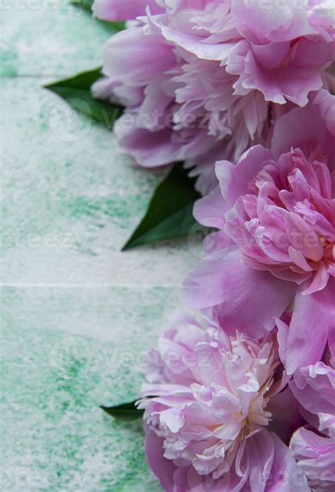 Background with pink peonies 9857665 Stock Photo at Vecteezy