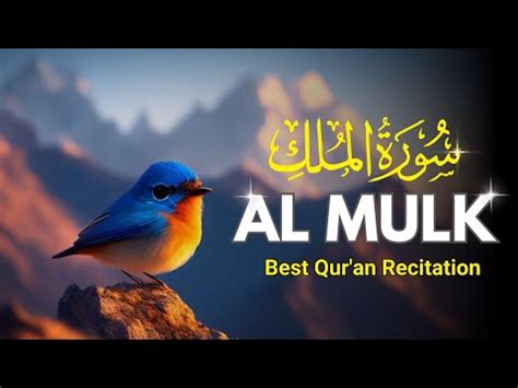 World s Most Beautiful Recitation of Surah Al Mulk the kingdom سورة