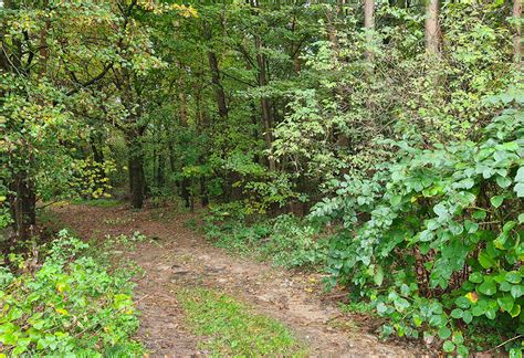 Konskowola New Jewish Cemetery ESJF Surveys