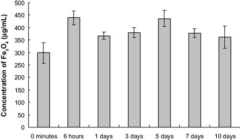 Concentration Of Fe 3 O 4 Mnps In Peripheral Blood Of Mice N 6