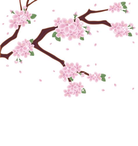 Download Cherry Blossoms Artistic Representation