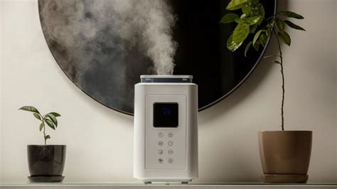 Humidifier Vs Dehumidifier We Explain The Difference Between These