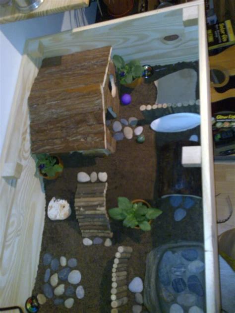 Show Your Pictures Of Your Hermann Tortoise Enclosures Reptile Forums Tortoise Care