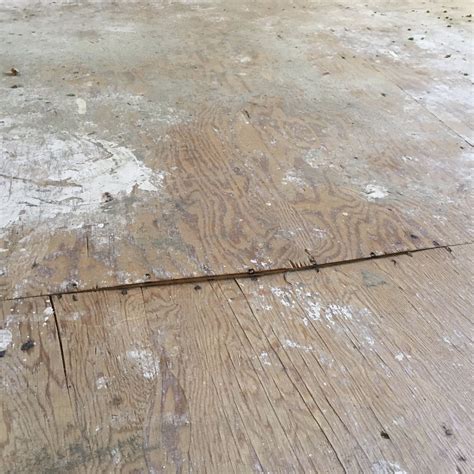 how to fix squeaky flooring 11
