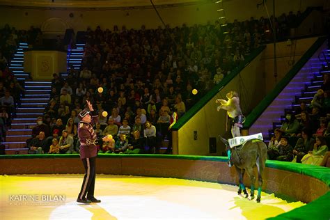 Афиша : БЕЛОРУССКИЙ ГОСУДАРСТВЕННЫЙ ЦИРК