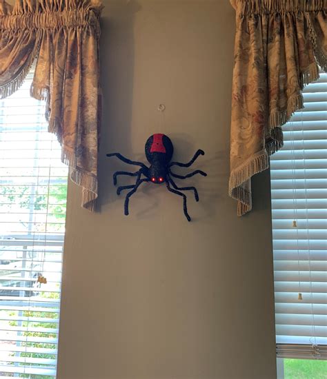 Halloween Dropping Spider On Wall Life After 40