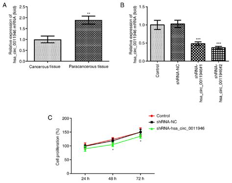 Knockdown Of Hsa Circ Inhibits Proliferation Of Sacc Cells A