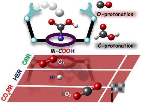 Selectivity In Electrochemical Co2 Reductionaccounts Of Chemical