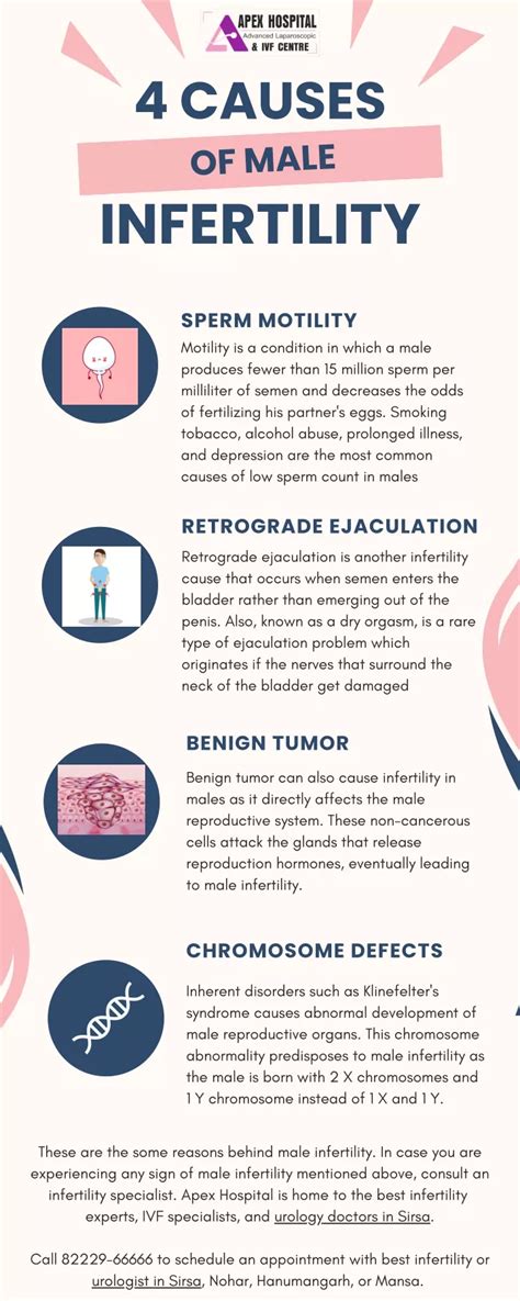 PPT Four Causes Of Male Infertility Apex Hospital PowerPoint