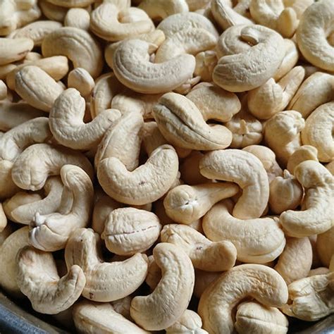 Organic White Cashew Nut At Best Price In Purba Midnapore Tara Maa