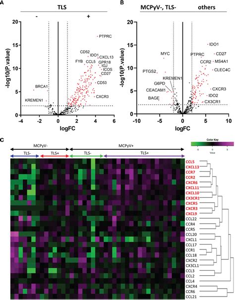 Results Of The RNA Sequencing A Volcano Plots Comparing