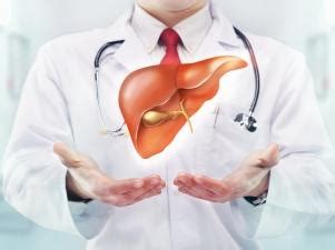Как очистить печень от токсинов – описание всех методов
