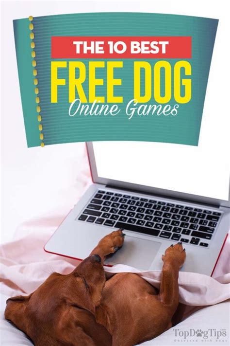 10 Most Addictive Free Dog Games Online — Top Dog Tips