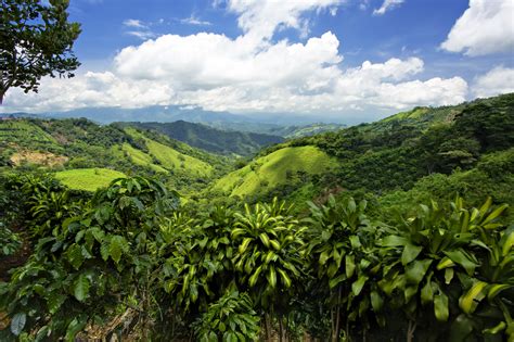 Costa Rica De Mooiste Bezienswaardigheden Anwb