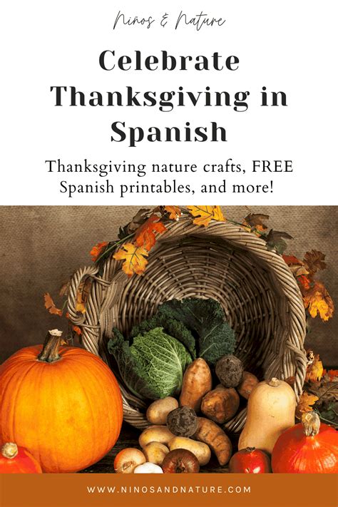 How To Celebrate Thanksgiving In Spanish Free Spanish Lessons For